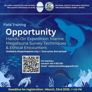 Hands-On Expedition: Marine Megafauna Survey Techniques & Ethical Encounters