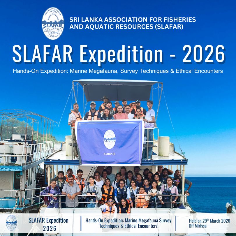 Advancing Marine Science: Mirissa Megafauna Expedition – Successfully Completed!